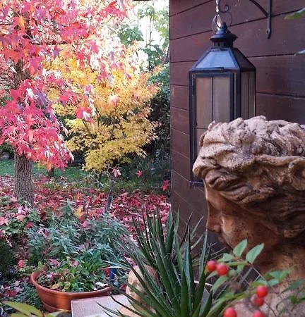 Bed & Breakfast Teapot House *