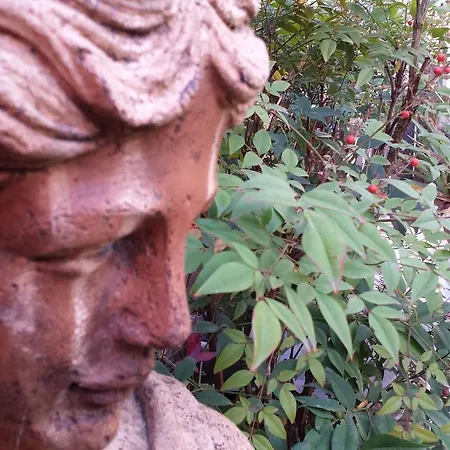 Teapot House 3* Perugia