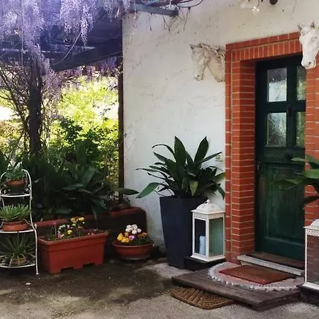 Bed & Breakfast Teapot House