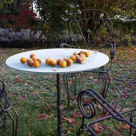 Teapot House Bed & Breakfast