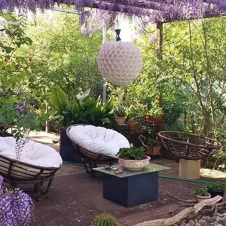 Teapot House