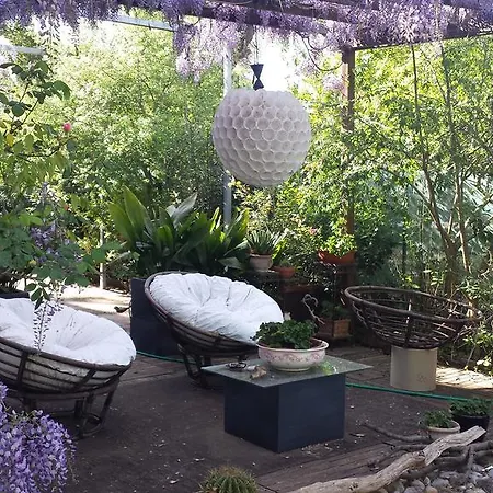 Bed & Breakfast Teapot House