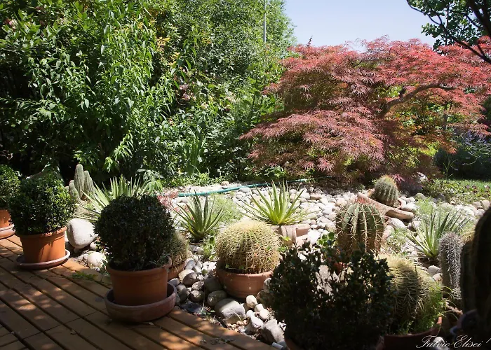 Bed & Breakfast Teapot House