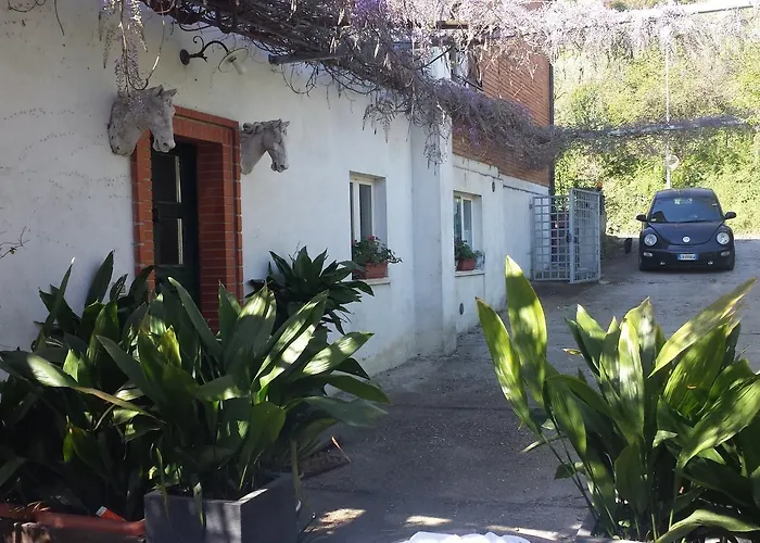 Teapot House Bed & Breakfast 3*