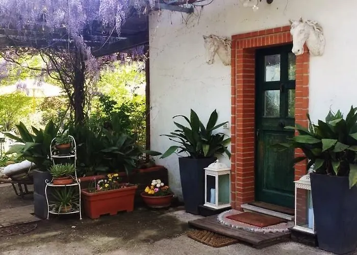 Bed & Breakfast Teapot House