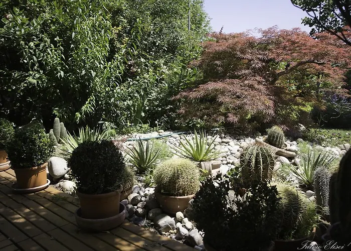 Bed & Breakfast Teapot House